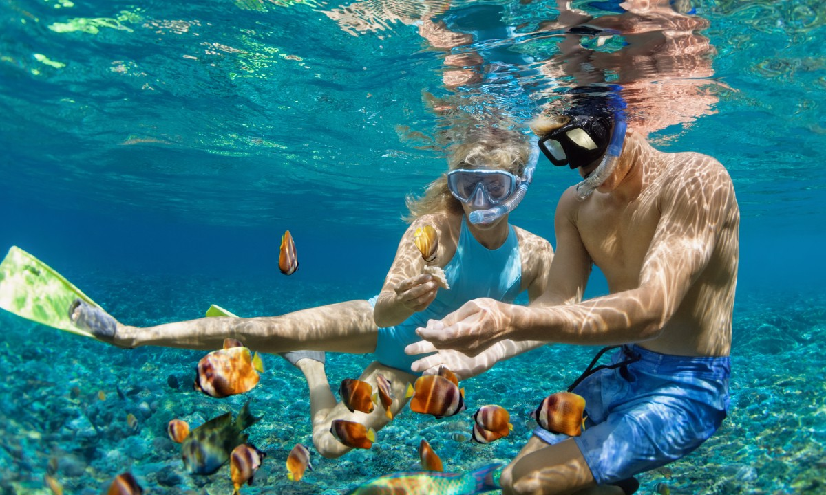 Paquete Snorkel en Piscina Natural y Playa Gri Gri